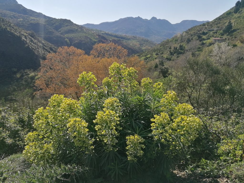 Incontrare la natura e tutte le sue manifestazioni nel vigore della primavera, passeggiando in montagna.