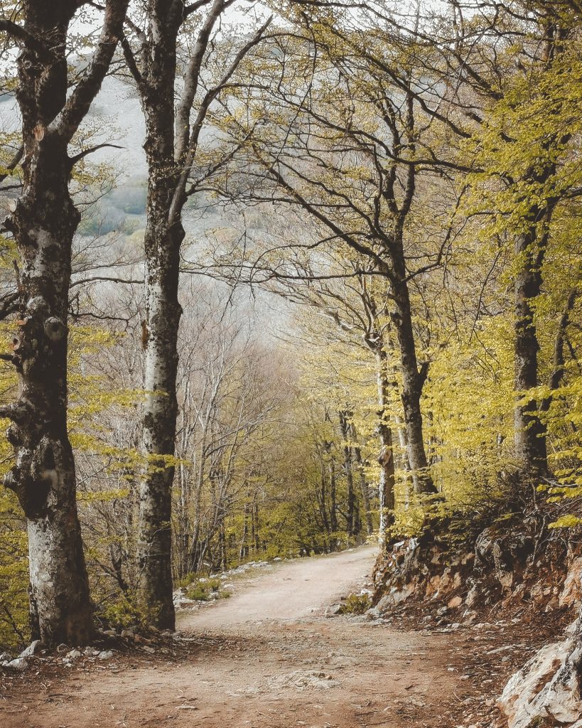 Stare a stretto contatto con la natura