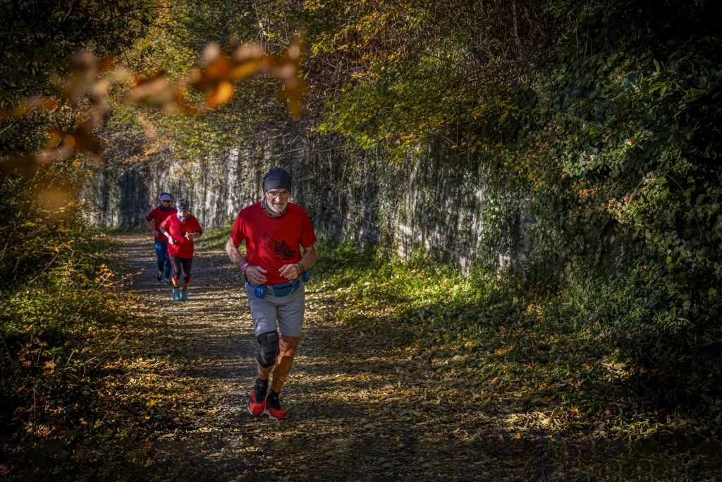....quando nel bosco,mentre corro, mi rilasso ,sento solo scricchiolare le foglie sotto i piedi e gli uccelli cantare...