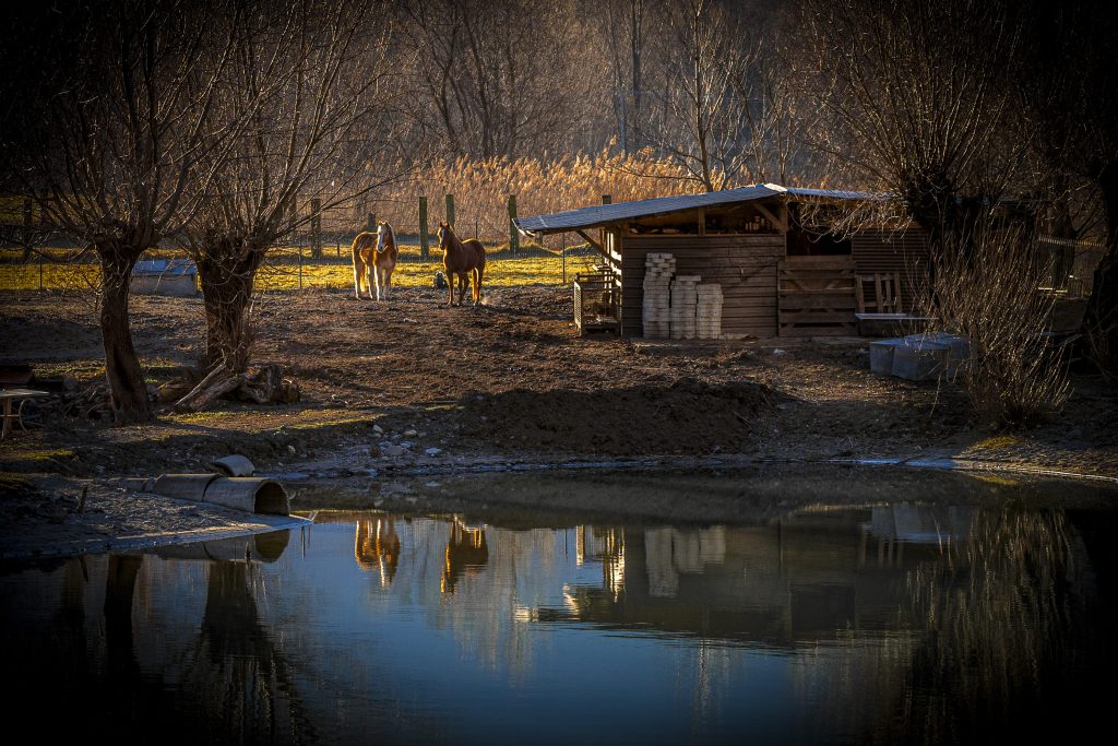 ...passeggiare nella natura...