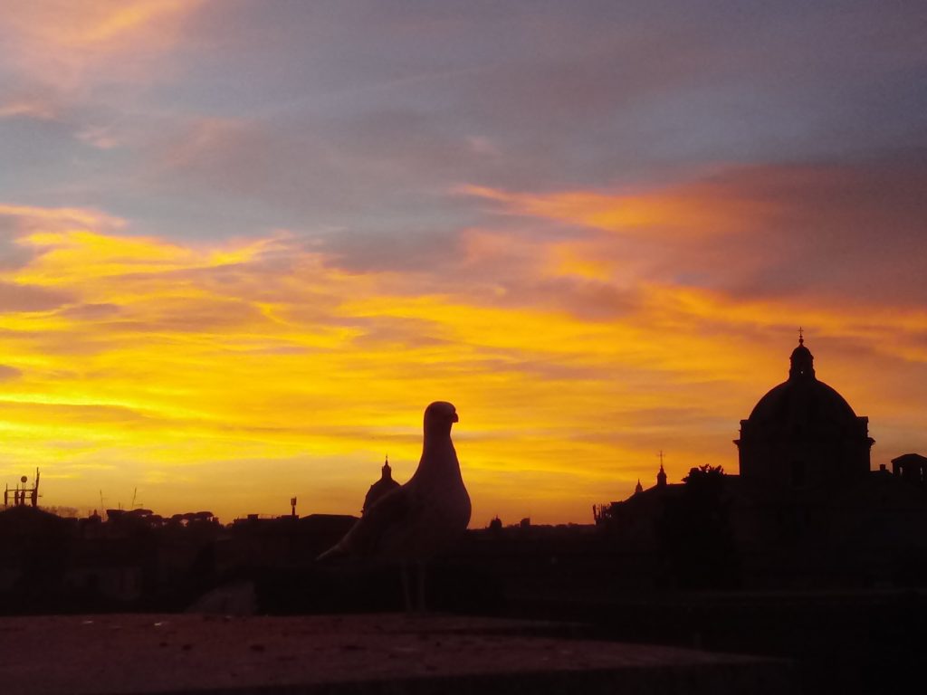 Il mio benessere è rilassarmi perdendomi tra i tramoni ....meravigliosi