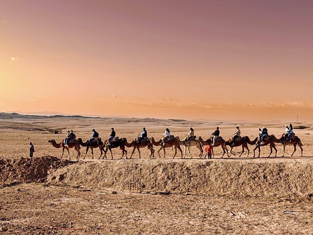 Il silenzio del deserto, il lento camminare dei cammelli che ti culla dolcemente, lo spettacolo del tramonto che colora le dune, il vento caldo che ti sfiora la pelle, la sensazione di far parte di qualcosa di unico e magico
