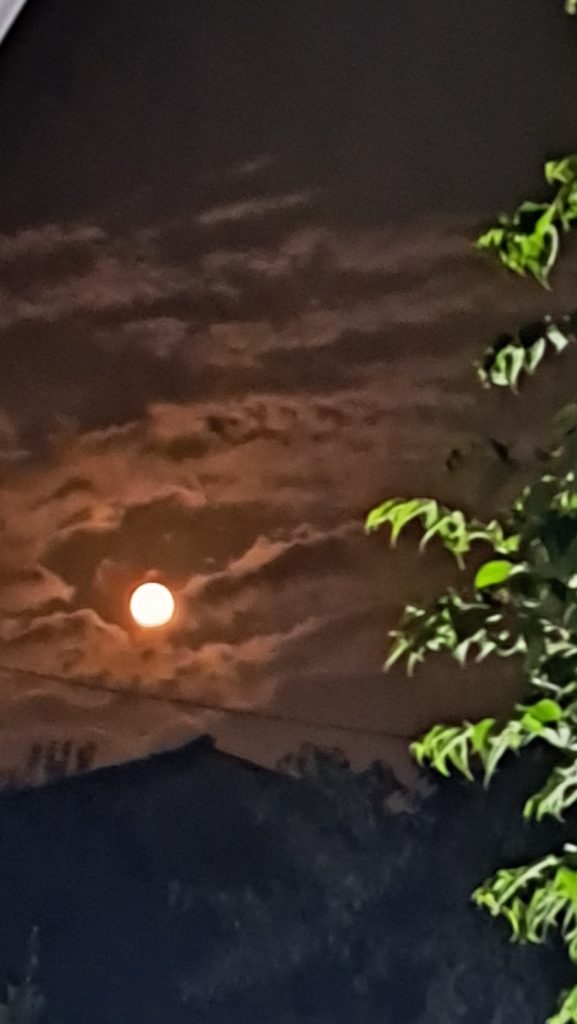 ....parlare alla luna...