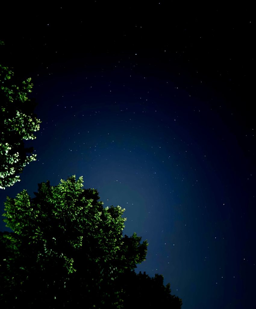 Osservare le stelle nella notte di San Lorenzo e desiderare che i sogni si avverino...