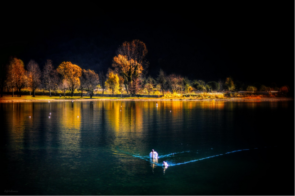 lo specchio è il lago in cui i nostri occhi cercano di fare i cigni. (Michelangelo Cammarata)