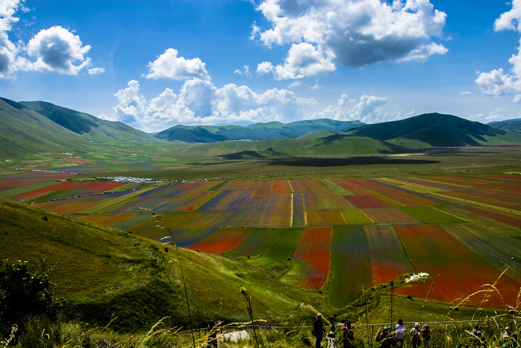 lo spettacolo della fioritura “multicolor”, una tavolozza naturale che incanta e rapisce.
