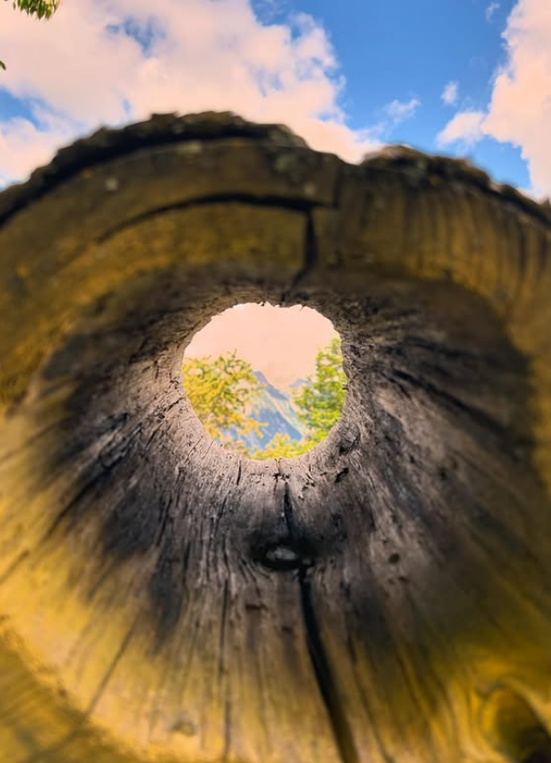 cielo e roccia racchiusi nel cuore antico di un albero. Un frammento d'infinito nascosto nel silenzio del legno, cambia la prospettiva e la fine delle cose diventa l'inizio di un nuovo orizzonte.