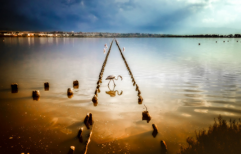 l'avifauna di un Parco naturale, svolge un ruolo fondamentale per gli ecosistemi e la salute mentale umana.