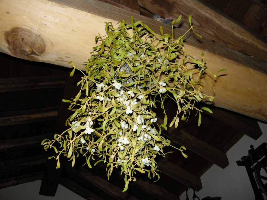 seguire le tradizioni, la mia preferita? Baciarsi a Capodanno sotto al vischio appeso sulle soglie di casa, porta fortuna ed amore per cui fra poco ne approfitto...