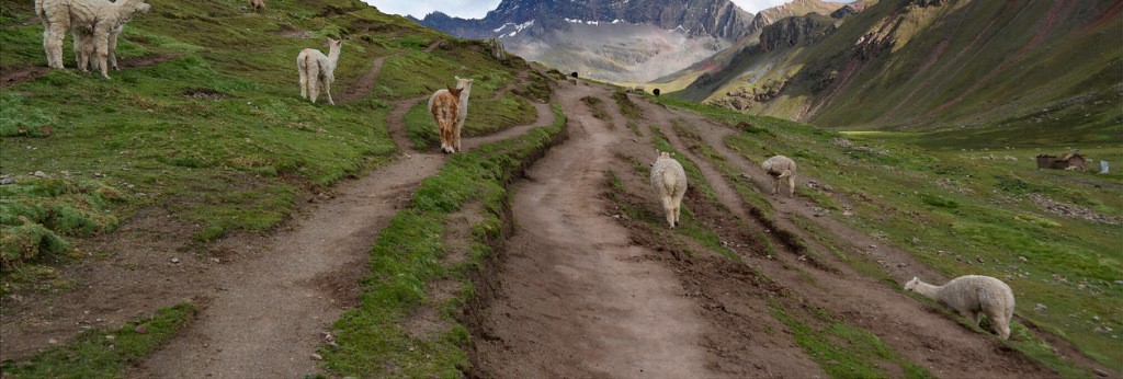 un toccasana per mente e cuore e per il mio occhio da fotografo: uno spettacolo della natura.