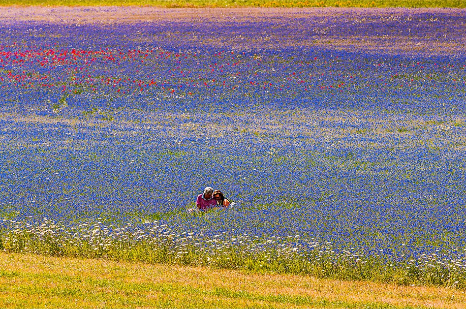 vivere a colori...