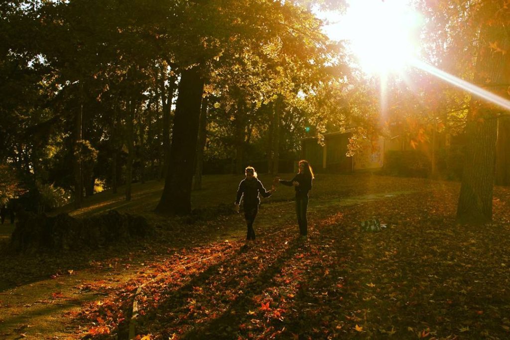 l’autunno è la magia dei colori, è cromoterapia all’aria aperta: il verde dell’estate saluta e lascia posto a macchie di rosso, giallo e arancione. Ogni valle, ogni bosco, ogni angolo accoglie il foliage e regala fotografie da cartolina.