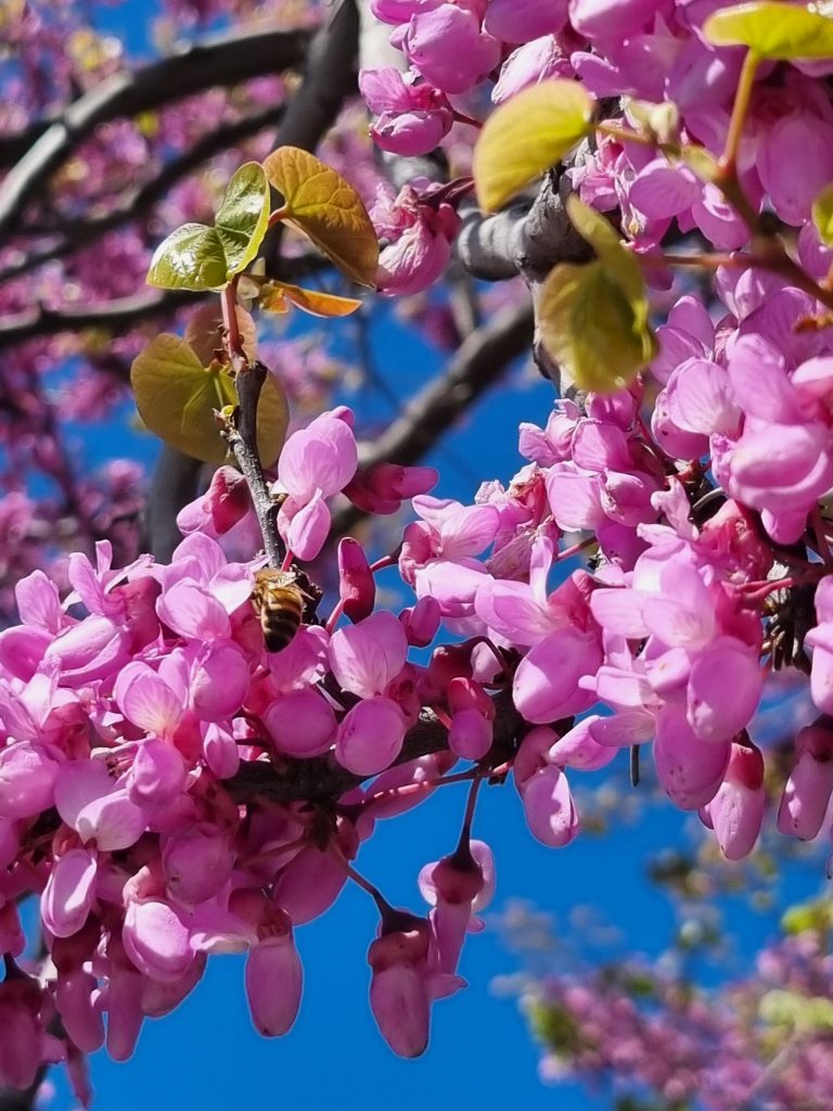 La natura che mi circonda, con i suoi colori e profumi, osservarla mi rende serena.