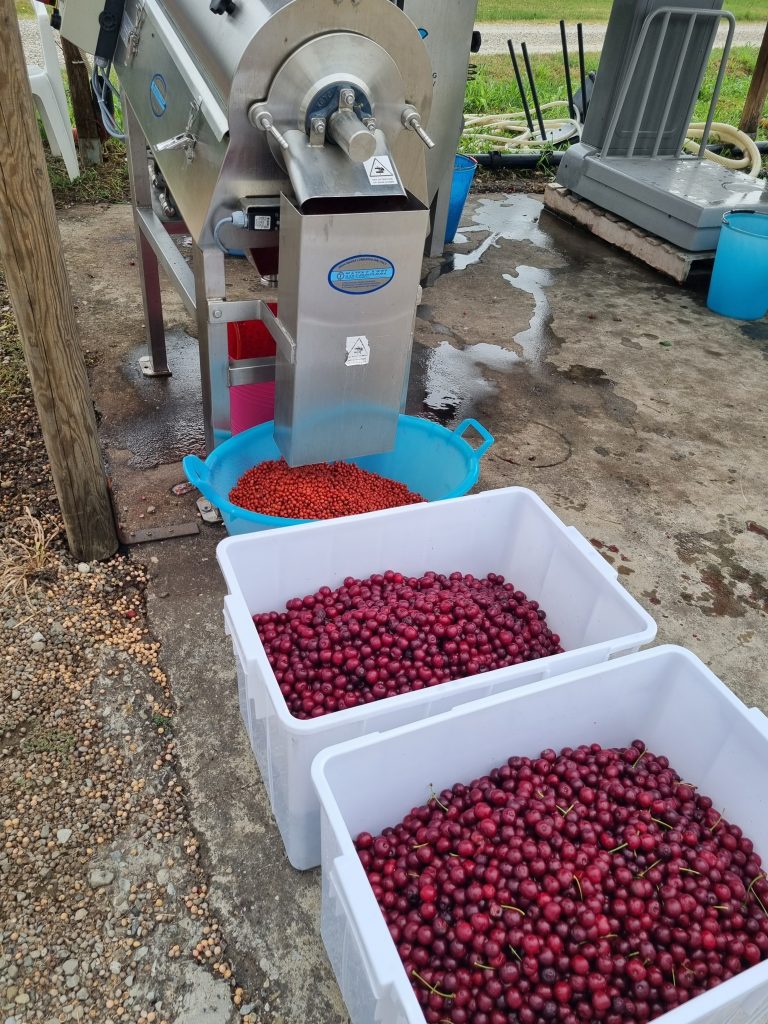 Tutto Km 0, servire in tavola, i prodotti del mio orto è una vera soddisfazione.