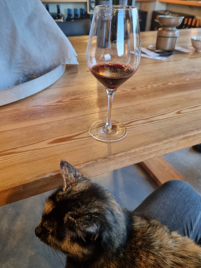 Godermi il mio momento di relax a fine giornata ... un buon bicchiere di vino rosso locale e la mia adorata gattina che mi fa le fusa sulle ginocchia...meglio di così...