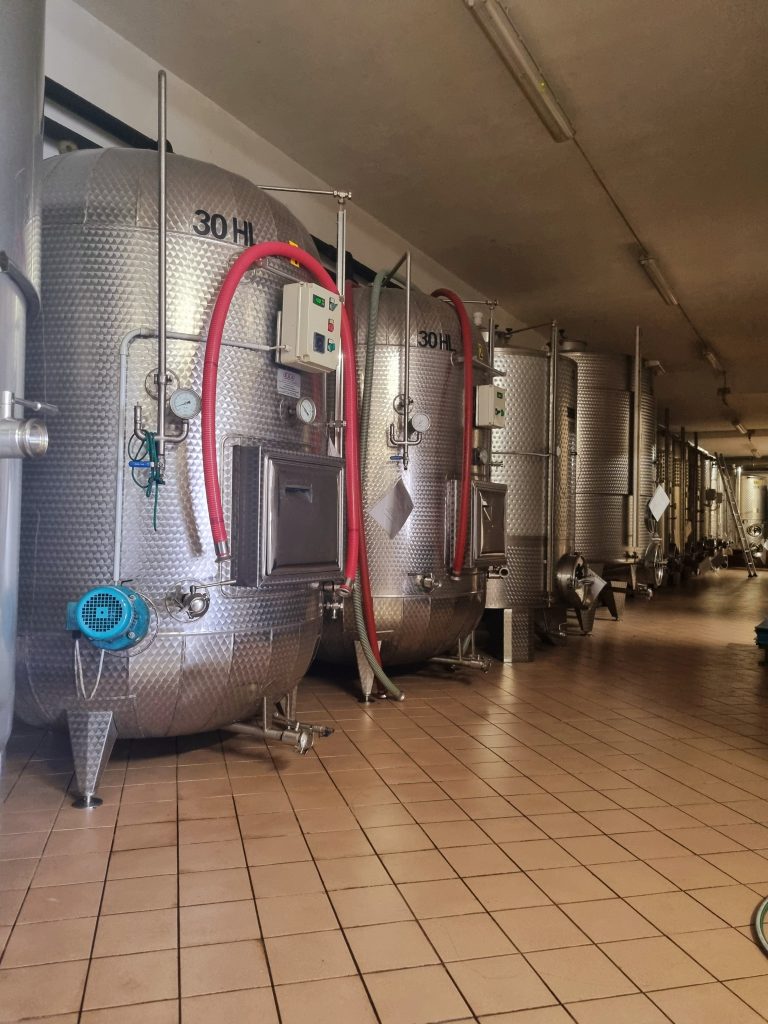 Comprare i miei vini favoriti, direttamente in cantina dei produttori locali. Ogni bottiglia, ogni etichetta, ha la sua storia.