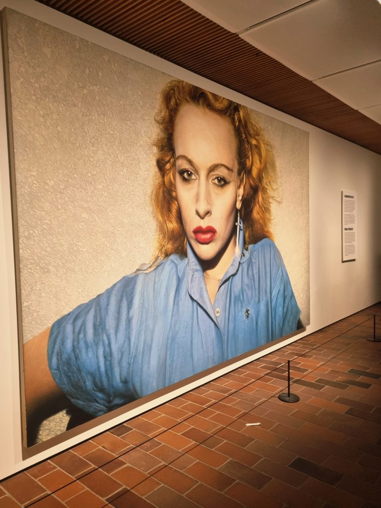 ... adoro visitare i musei,  mi regalano momenti interessanti, approfondimento e relax...