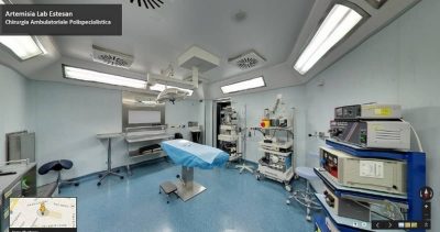 Foto Artemisia Lab Estesan