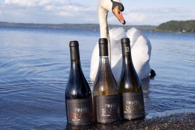 Vini Borgo del Baccano