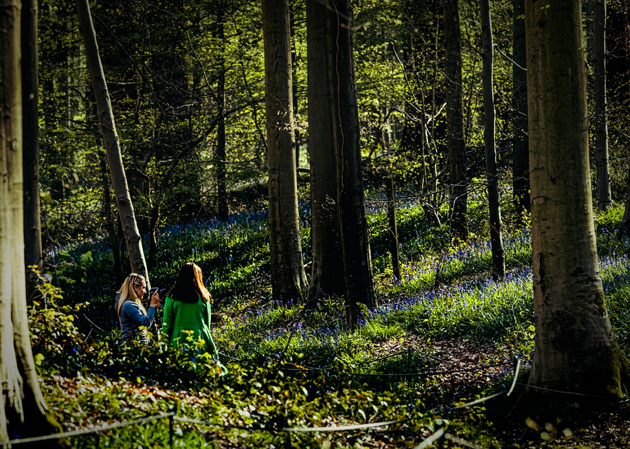 fare fotografie: luci e composizione, la scelta dell'attimo, del punto di scatto o dell'obiettivo, una passione che mi permette di “immagazzinare” i ricordi, nel bosco prima si “vesta” d’autunno…