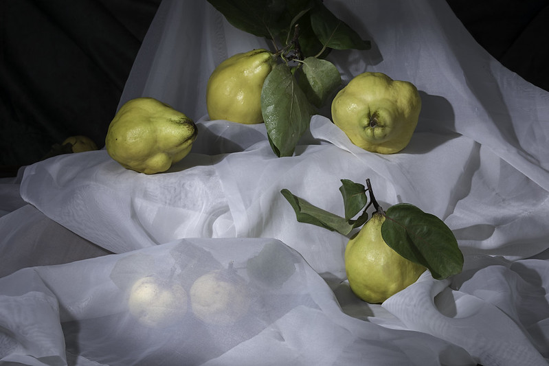 "sfruttare" le mele cotogne... in questo periodo anche a km 0.