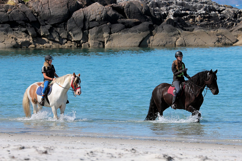 cavalcare sempre ed ovunque: da sola o in compagnia, con il caldo o con il freddo, non è solo un'attività piacevole, ma offre anche numerosi benefici per la salute fisica e mentale. Tonifico i muscoli ma soprattutto l’empatia con il mio cavallo mi rilassa e insieme ci godiamo la natura…