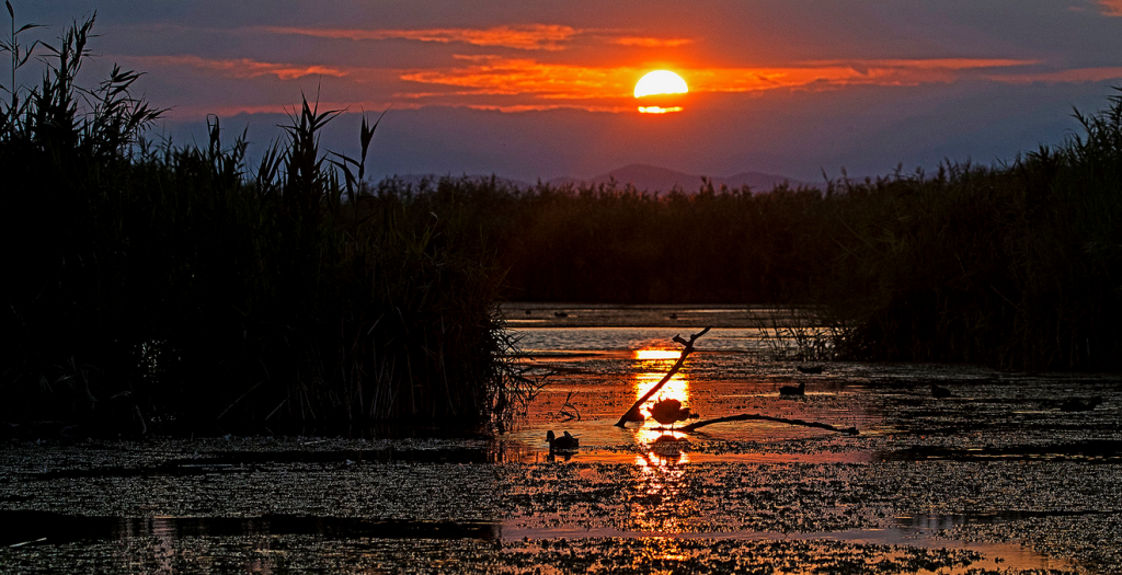 uno scrigno di biodiversità unico, un’alba che veicola emozioni infinite.