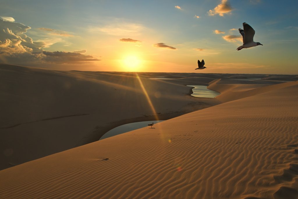 un deserto d'avorio che sposa il cielo, dove l'acqua nasce dal nulla per cullare la luce del tramonto. Nel silenzio infinito dei Lençóis Maranhenses i respiri della Terra si confondono con il battito del cuore ricordandoci che la bellezza assoluta non chiede parole ma solo di essere ascoltata.