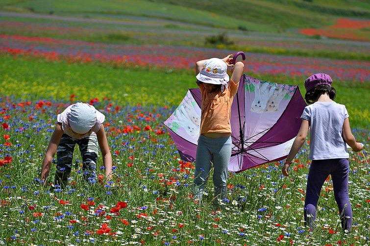 dolce cromoterapia… il colore e i bambini sono luce, la luce è energia: il colore e i bambini sono energia.