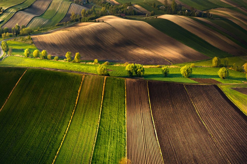 perdersi fra tappeti naturali...