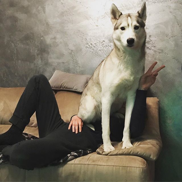 passare il tempo con il mio figlio peloso, tra noi c'è moltissima empatia.