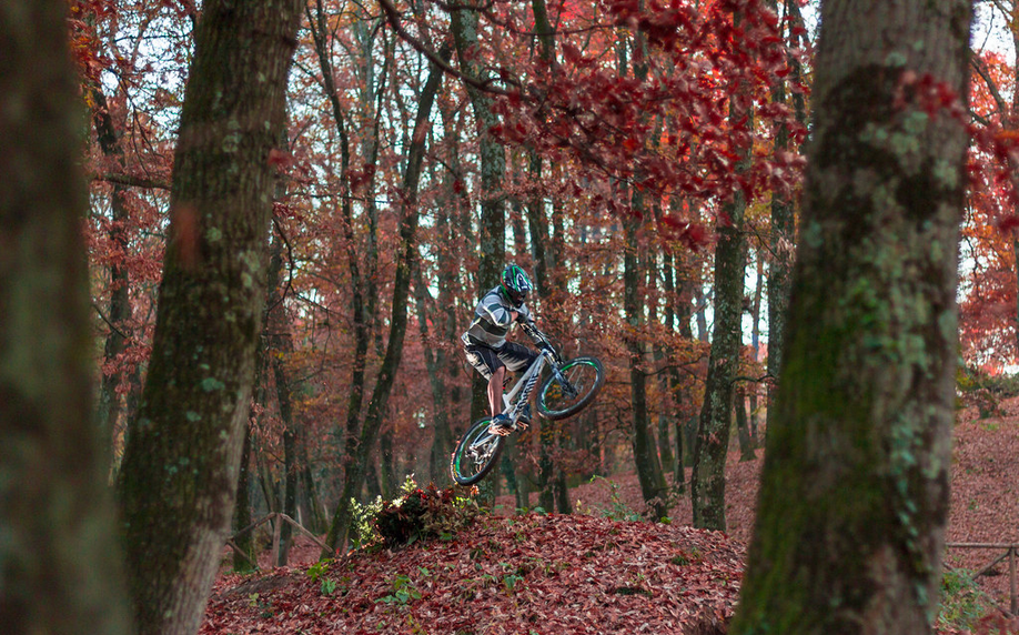 planare sul primo foliage...