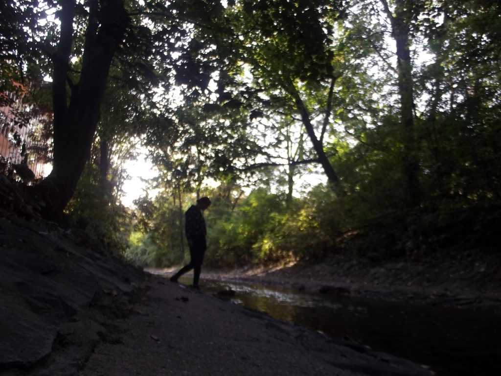 andar per fossi, cercare l'acqua, come un giovane Tom Sawyer, tornare bambino.
L'acqua che scorre, che riflette, che suona tra i sassi verdi, ricoperti di umido muschio.
L'acqua che si ferma, gorgoglia e riprende il cammino antico di sempre.
Come un gioco che si ripete all'infinito.
