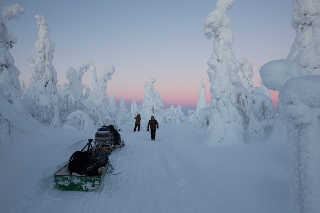 assistere ad un fenomeno affascinante, il “tykky” o “tykkylumi” o “crown snow-load”. Questa espressione finlandese racchiude il segreto di una particolare formazione di neve, un capolavoro naturale che si materializza solo in condizioni climatiche precise, come partecipare ad "un miracolo naturale"...
