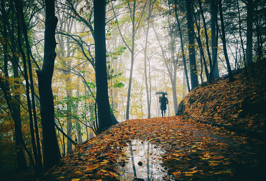 fra una festa e l’altra una passeggiata nel bosco, anche se “uggiosa”: passare da un centro commerciale a un centro sensoriale, gustando il silenzio, i profumi, i panorami, i sapori.