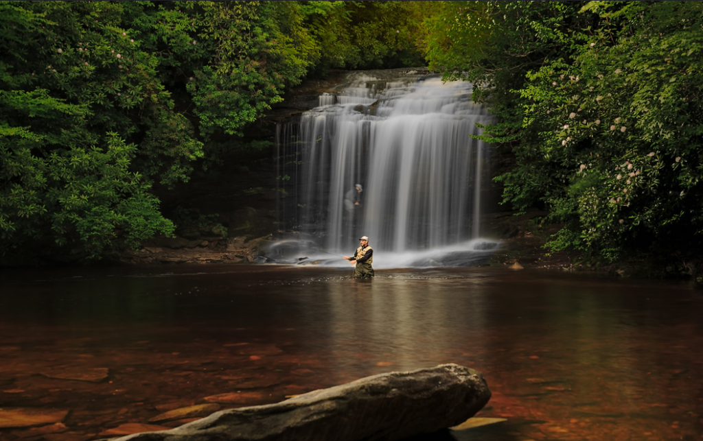 profonda connessione con la natura: la percezione fisica dell'acqua fresca, il profumo del bosco e il suono ipnotico della cascata amplificano l’esperienza; mi sento piccolo e pervaso da rispetto riverenziale…