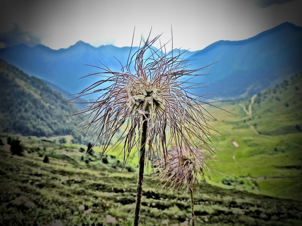 Esplorare luoghi selvaggi e riconnnetermi con il mio io interiore