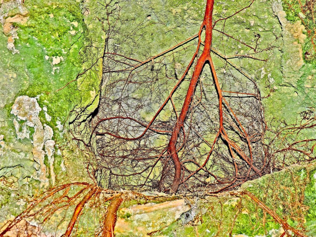 Esplorare luoghi selvaggi e riconnnetermi con il mio io interiore