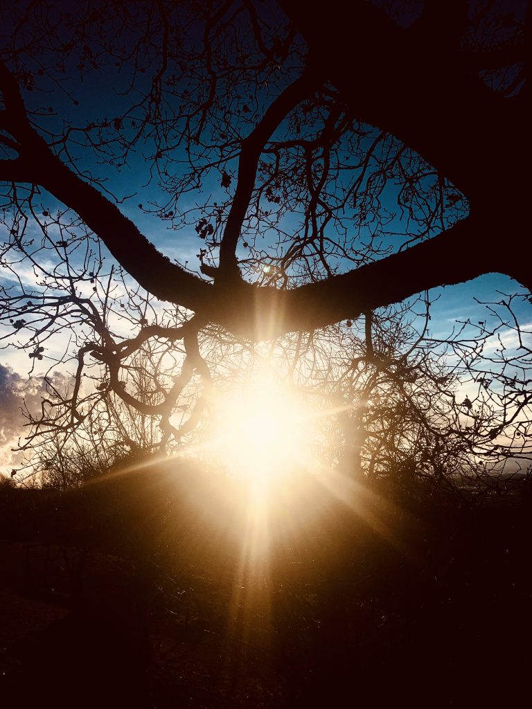 Meditare avvolta dalla natura