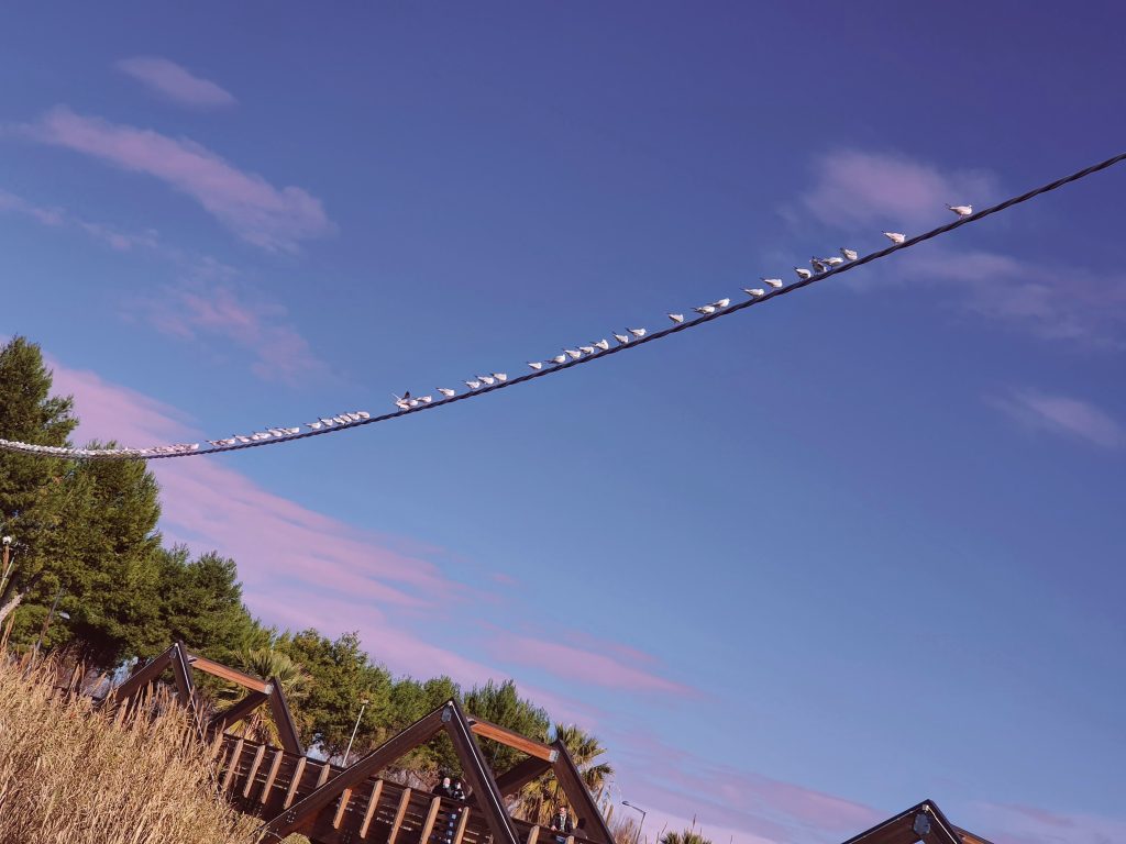 Rosso di sera, bel tempo si spera.