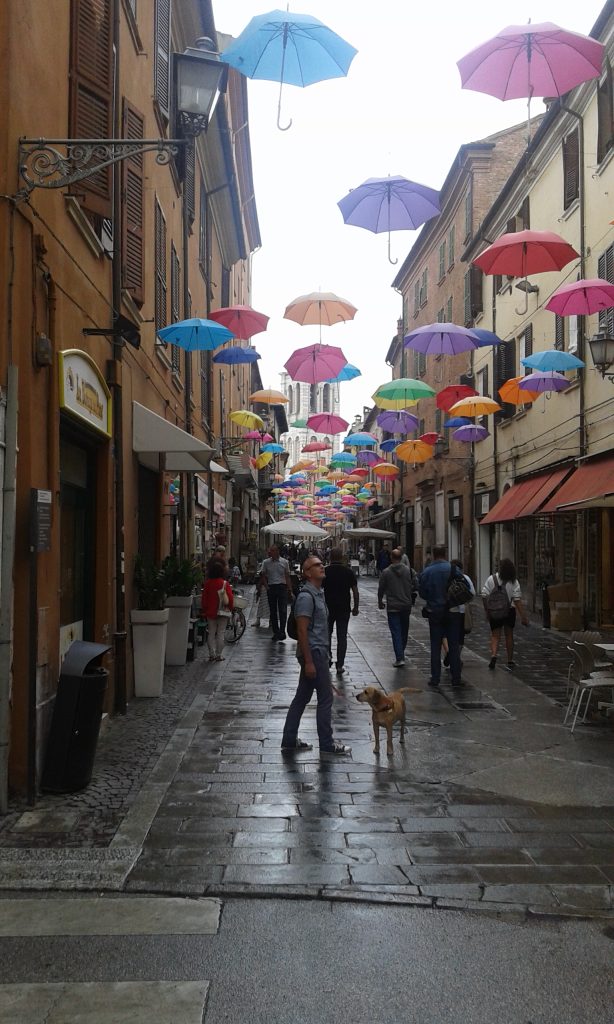 Vivere ogni giorno come se fosse l'ultimo, stupirsi sempre della vita anche per le piccole cose e farne buon uso.
Poter essere un cane oppure un piccolo uomo ma non sentirsi mai soli in questo mondo.