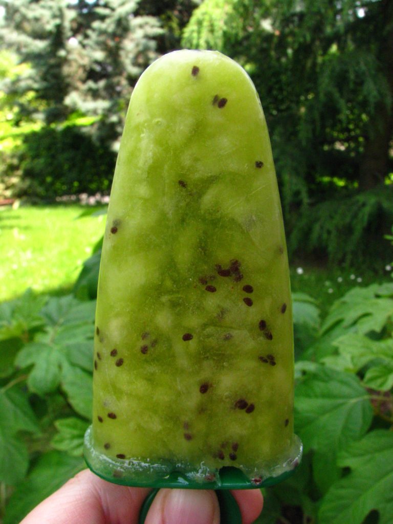fare una “cucina green”, ghiacciolo al kiwi fai da te, sano e rinfrescante.