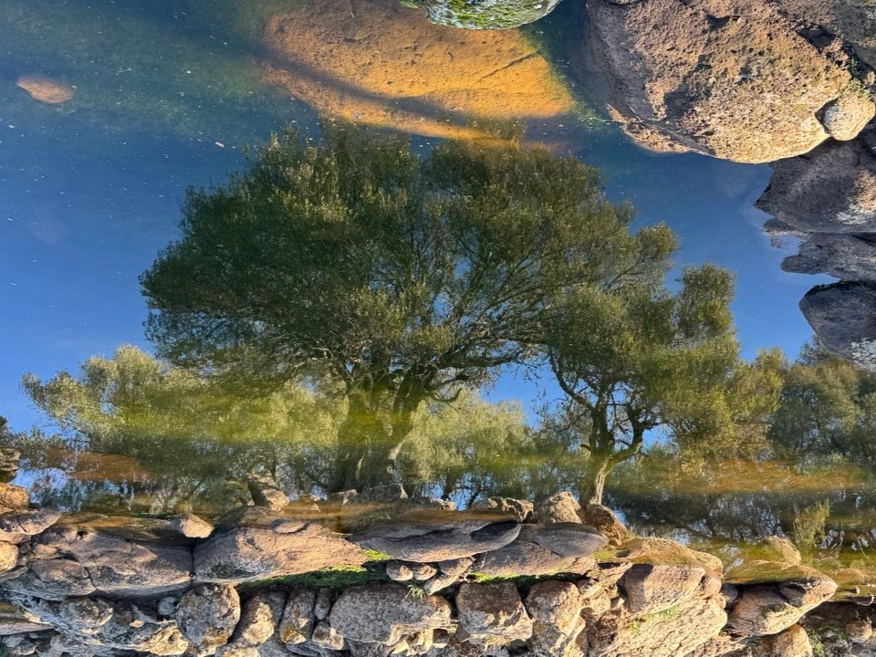 ...riflesso nei momenti di quiete