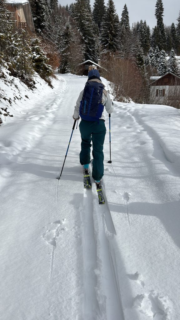 Giornata sugli sci nella natura…salita con le pelli discesa nei boschetti