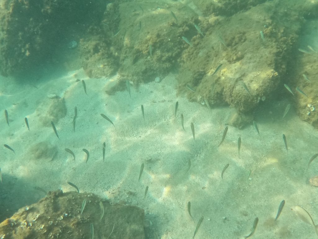 immergersi nelle acque limpide della Costa degli Dei e provare una piacevole sensazione di tranquillità che rigenera il corpo e la mente.