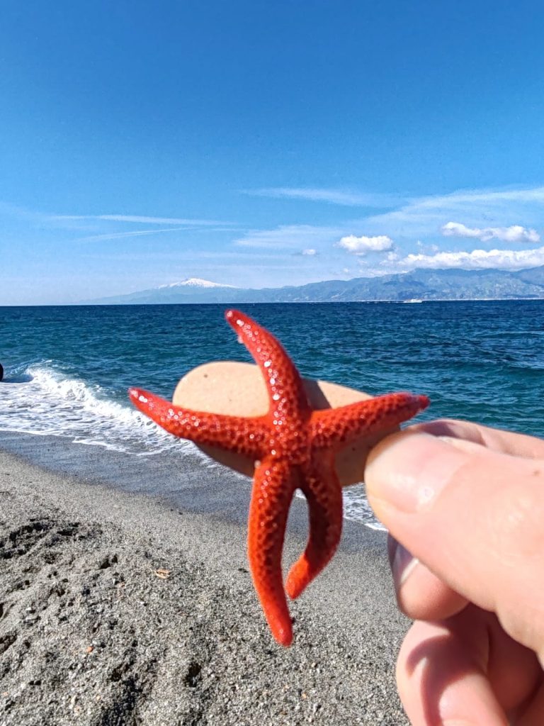 scoprire che una stella marina non è altro che una stella cadente raccolta dal mare.