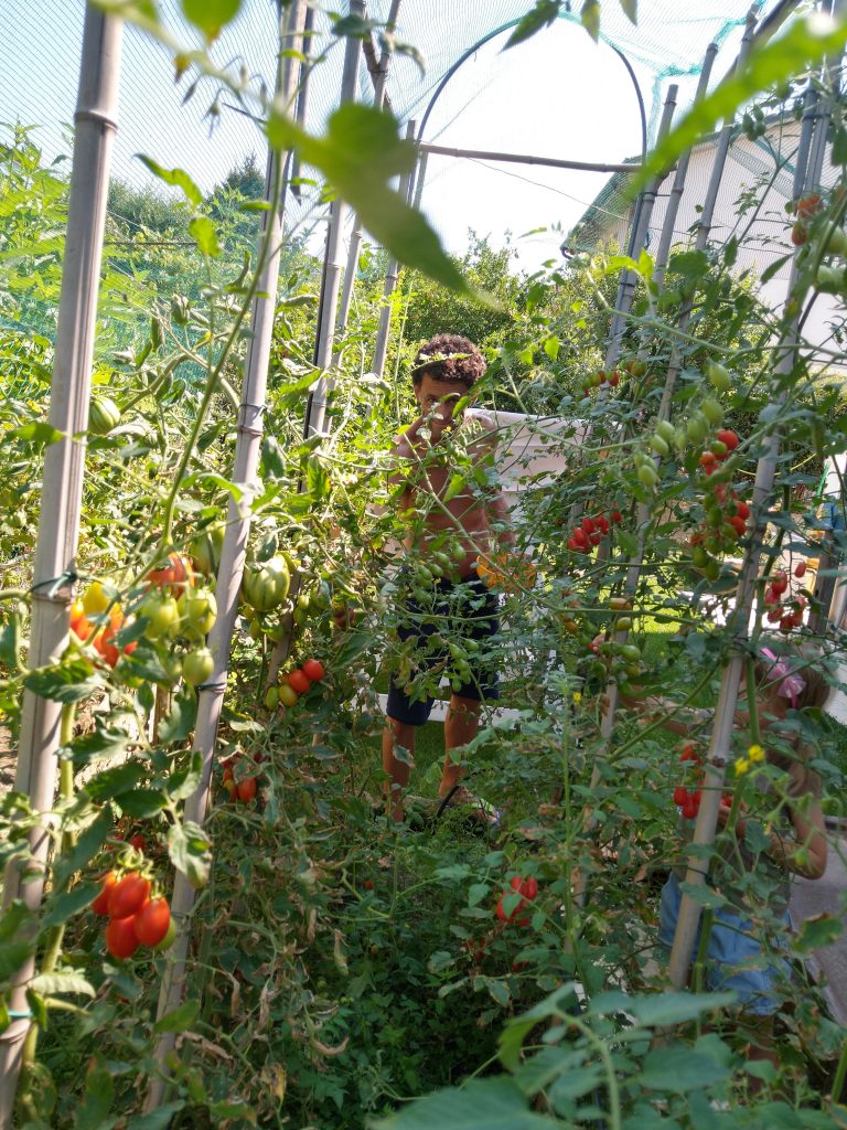 Il mio benessere è mangiare i frutti del mio piccolo orto bio.