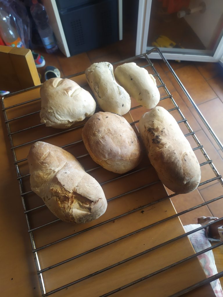 Riscoprire i sapori del passato con i miei primi panini cotti nel forno a legna.