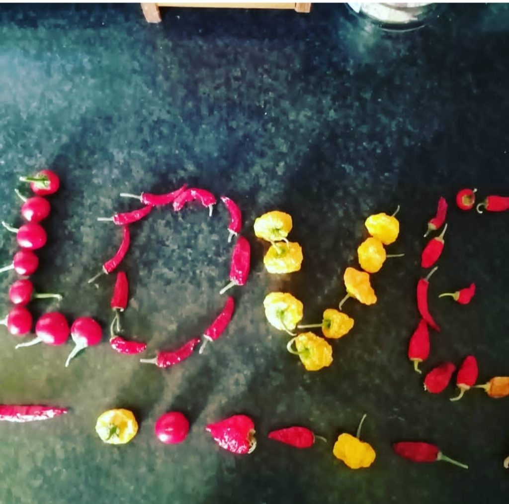 Collegare il gusto e le emozioni.