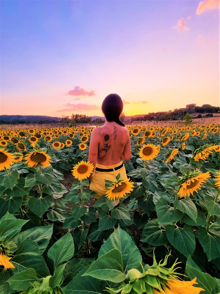 ...della Natura portar sulla pelle uno stampo,
coi girasoli unirmi in un lucente campo;
emblema indubbio di tenacia e costanza,
offrono Gioia, donan Speranza.
